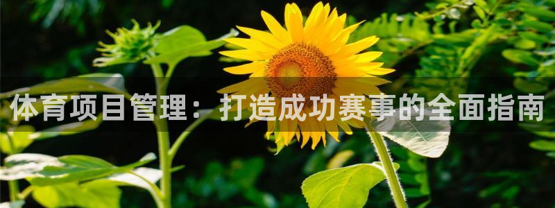 Bsport体育必一