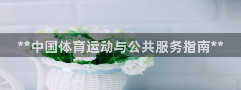 必一体育在线官网
