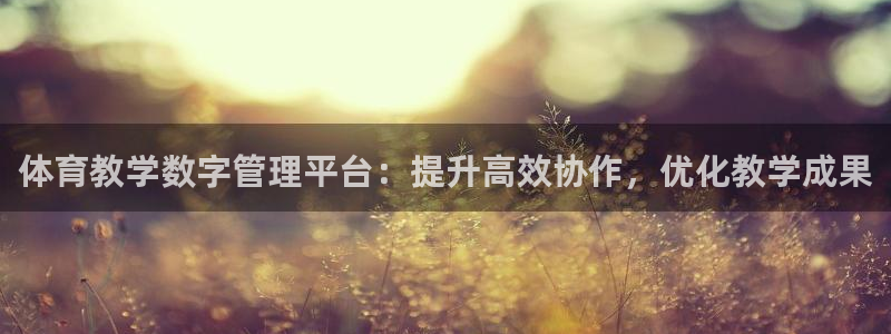 必一体育登录：体育教