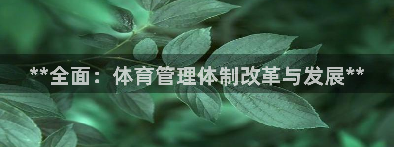 必一体育app下载