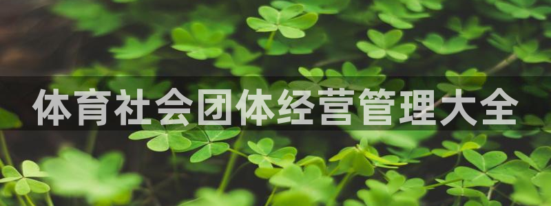 必一体育网址：体育社