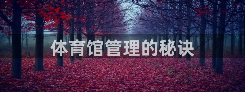 必一运动体育