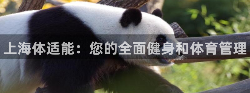 必一体育bsport