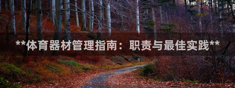 必一体育游戏特色：*