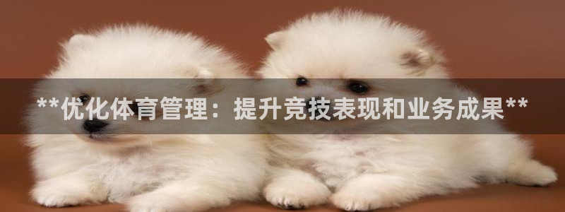 必一体育全站在线登录