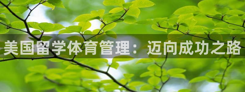 必一体育app官方下