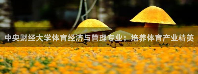 必一运动体育app：