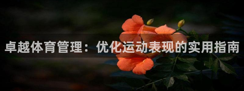 必一体育sport网页版