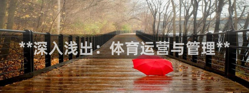 必一体育官方下载