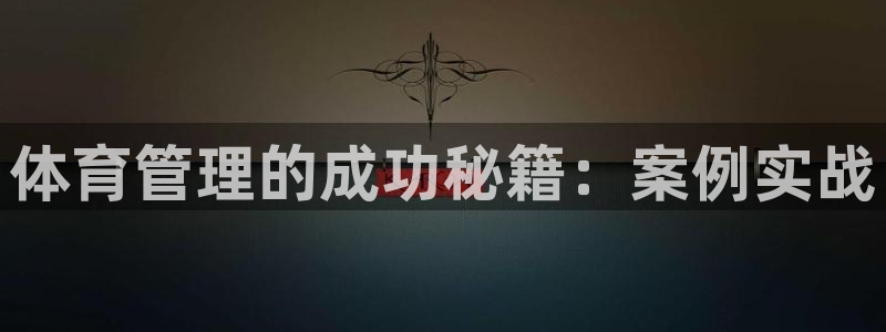 必一运动 b 体育素描版