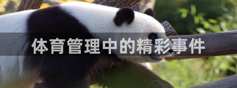 必一体育怎么下载：体