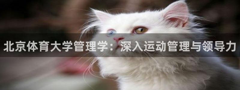 必一运动·(B-Sp