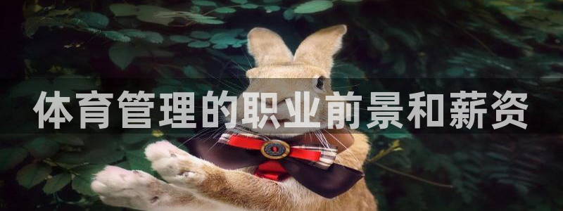 必一体育运动app：