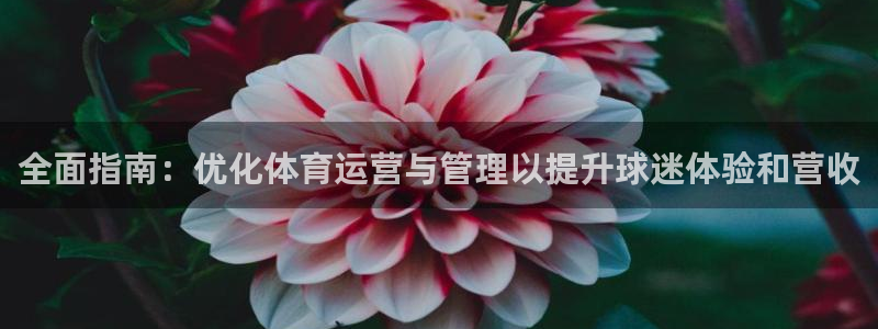 必一体育验证码：全面