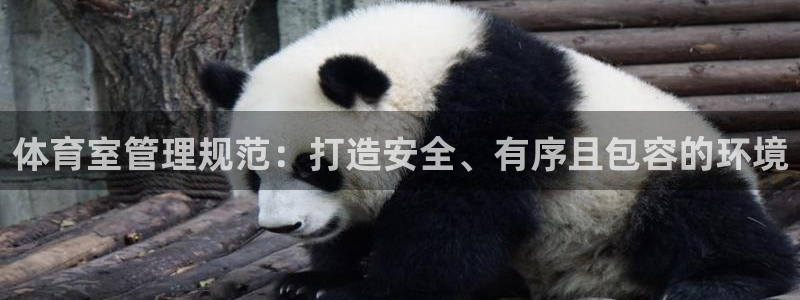 必一体育官网ios下