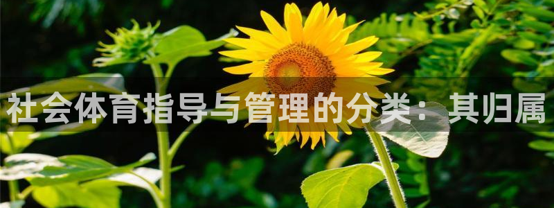 必一体育网页：社会体