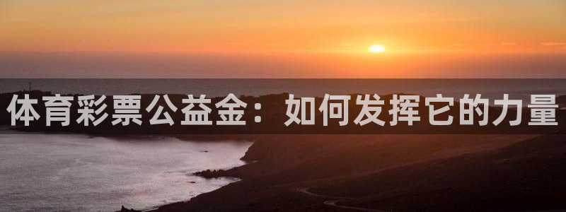 Bsport体育app必一