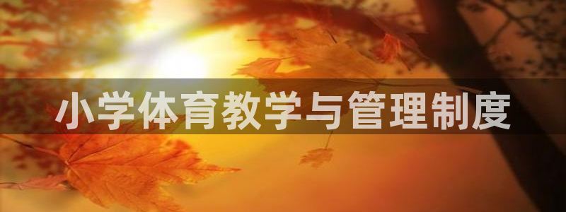 必一体育最新官网入口首页