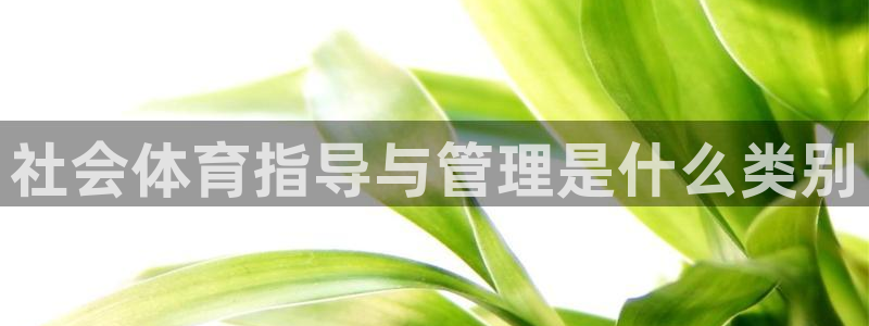 必一体育app官方网