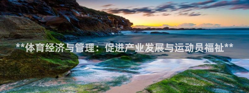 必一体育网站：**体