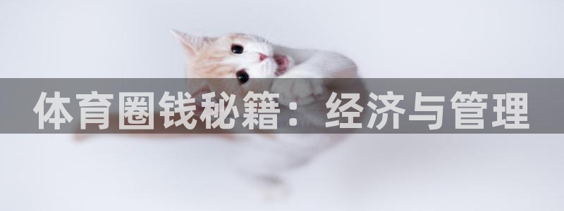 必一体育游戏特色：体