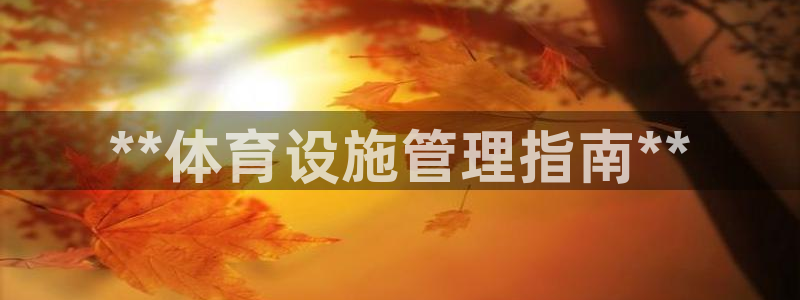 必一体育游戏玩法：*