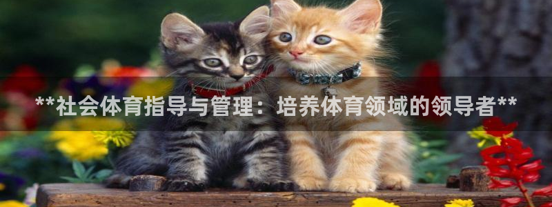 必一体育手机下载：*