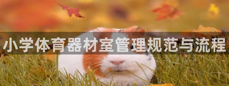 必一体育最新官网入口