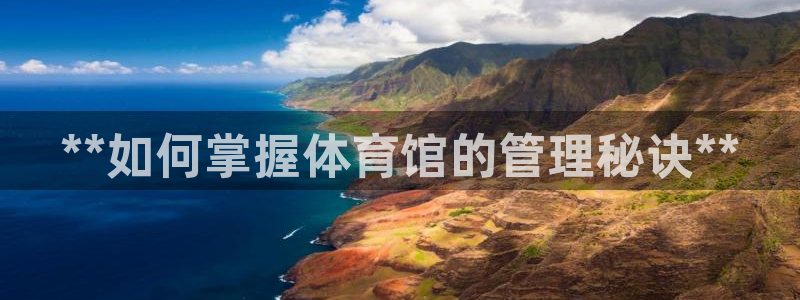 必一体育服下载最新版本更新内容