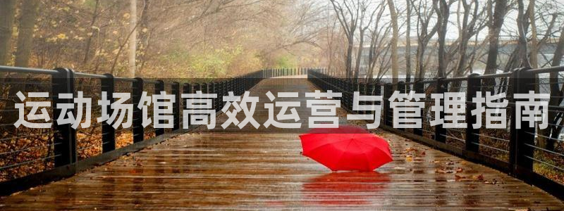 必一体育APP下载安