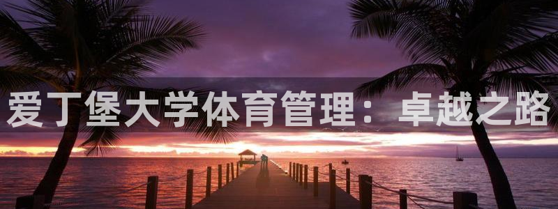 必一体育APP下载安
