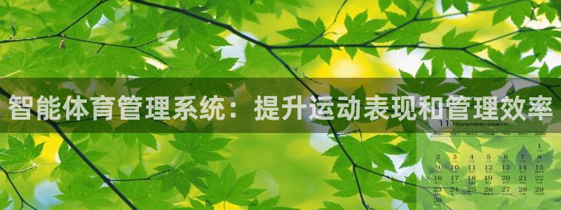 必一体育在线官网：智