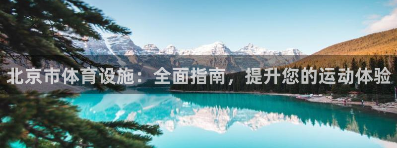 必一运动bsport