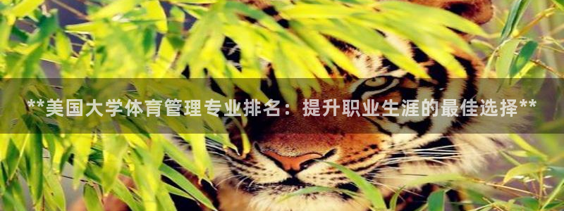 必一体育登陆：**美