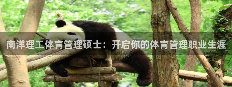 必一体育最新官网入口首页