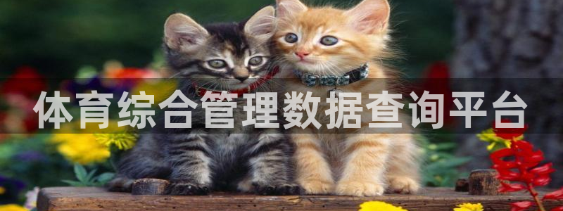 必一体育网站：体育综