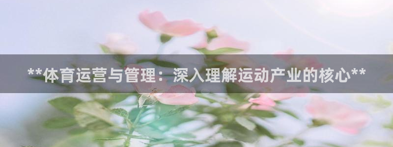 必一体育运动app：