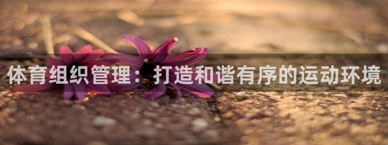 必一运动 b 体育素