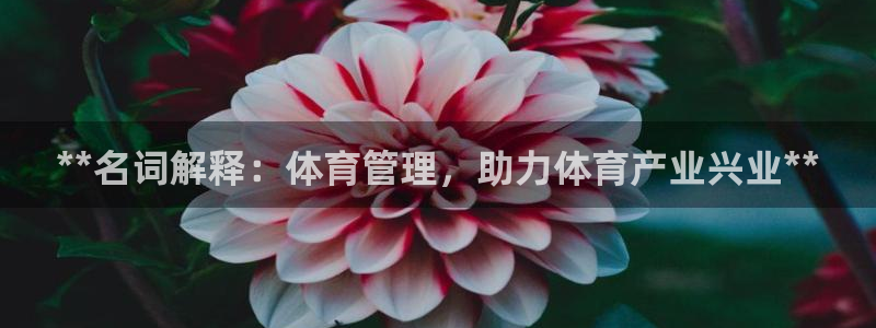 必一体育sport：