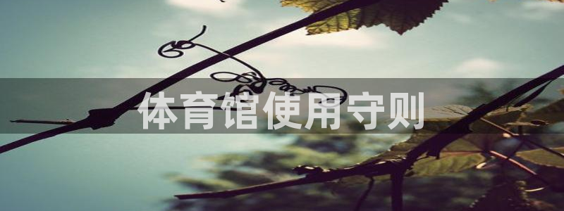 必一运动官网登录入口