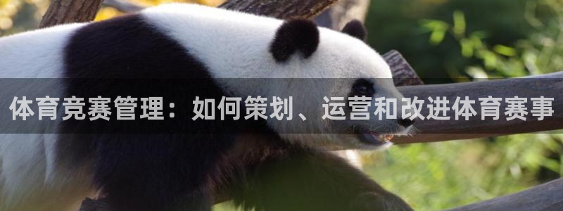 必一体育下载入口