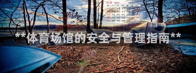 必一运动 b 体育素描版
