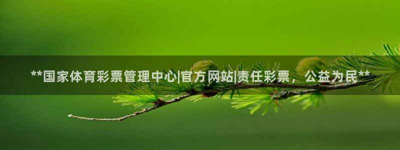 必一运动·体育：**
