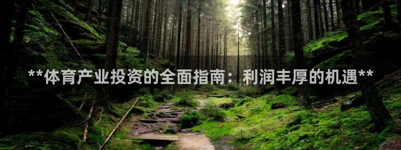 必一体育app官方网