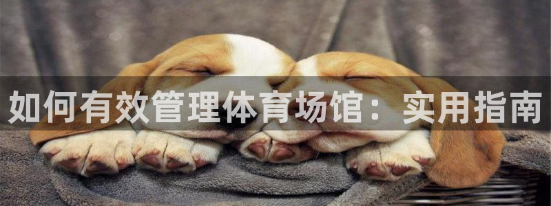 必一体育服下载最新版本更新内容