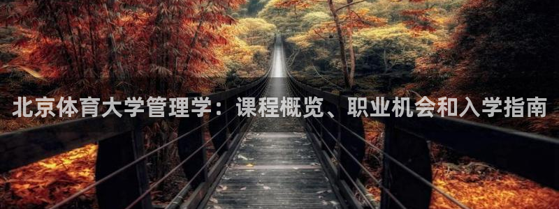 必一体育官方下载入口
