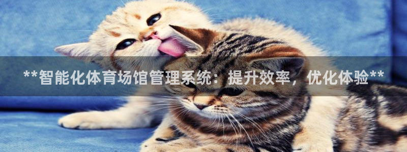 必一运动·(B-Sp