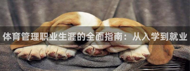 必十二和必一的副作用
