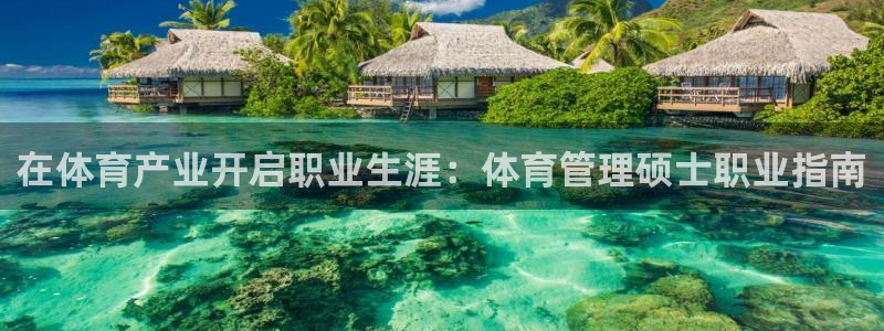 必一体育电子app：