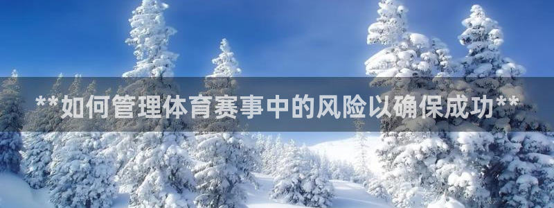 必一体育最新官网入口